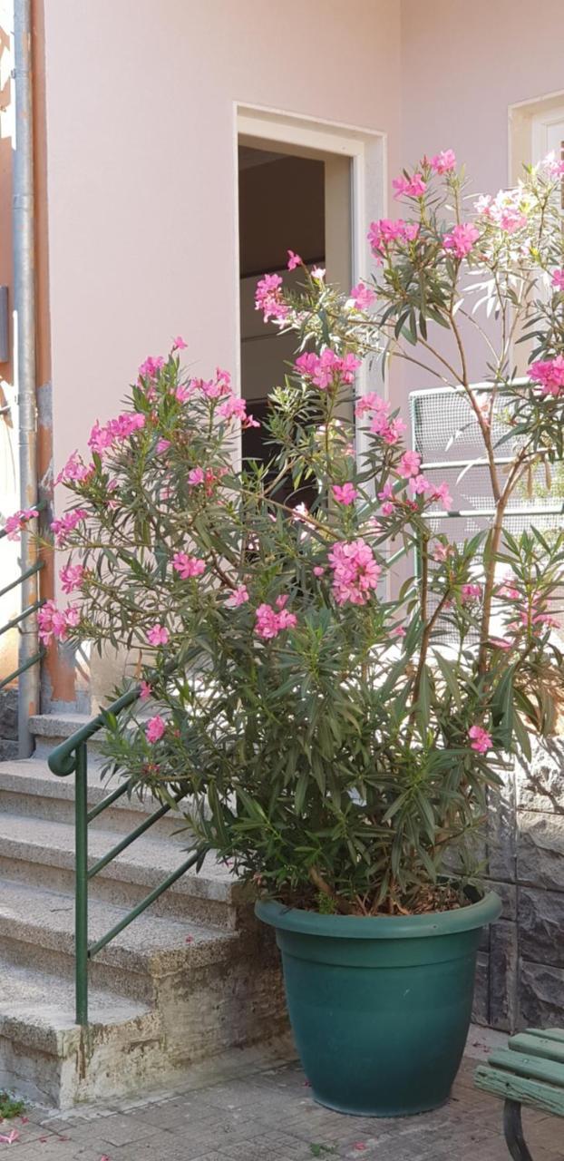 Bellesuite Τίρανα Εξωτερικό φωτογραφία